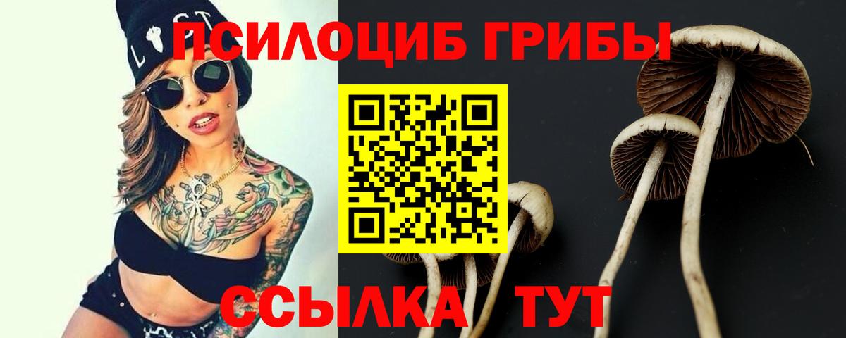 Россия  Галлюциногенные грибы Psilocybine cubensis  Вход с VPN 